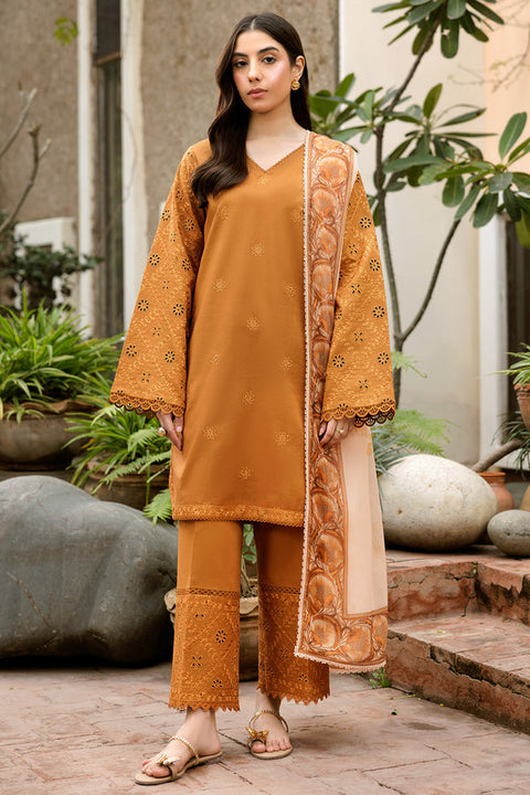 Premium Embroidered Dhanak 3-Piece Suit | Winter Collection